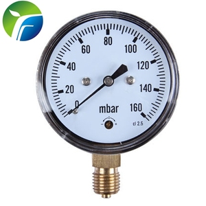 Feilte Manometer Y40-100 Mm/Bodem Of Back Black Steel Case 1/4 Npt Aansluiting 160 Mbar Manometer - Product Image 5
