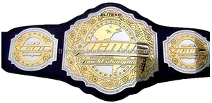 Ceintures de championnat personnalisées MFC, double placage, équipement de fitness pour poids lourds, accessoires - Product Image 4