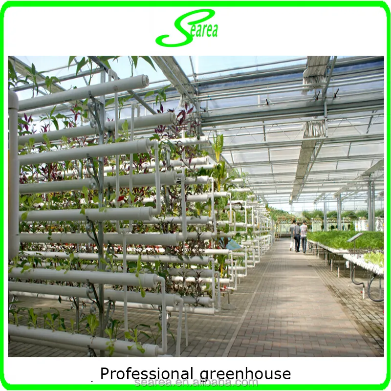 Rumah kaca berteknologi tinggi dan sistem hidroponik untuk profesional petani