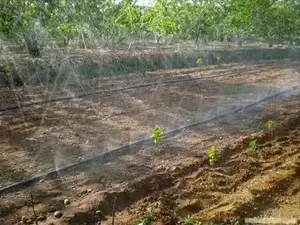 Layflat Water Agricultural Irrigation Mikros prüh schlauch Für Tropfs ystem UV-beständiges Sprüh rohr Regenschlauch-Bewässerungs system