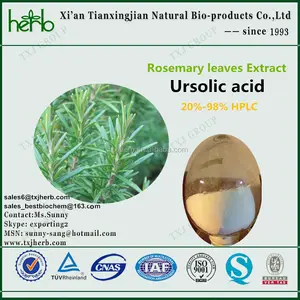 El ácido ursólico extracto de romero de china