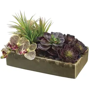 Mini suculentas artificiais de cerâmica, de alta qualidade, echeveria, verde, mini suculentas em vaso