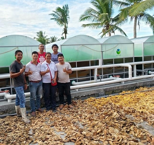 Анаэробное растение для пищеварения Teenwin