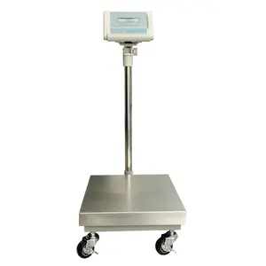 WT-L 60kg 100kg 200kg 300kg industrial platform floor weighing scale with 1g 10g