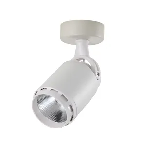 Warm white 15W restaurant embedded LED ceiling lamp Commercial household bright surface mounted energy-saving spotlight