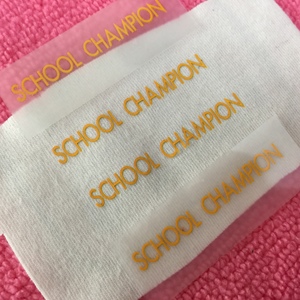 Étiquette de transfert de chaleur en film PET pour vêtements scolaires, logo de transfert de chaleur sans étiquette pour sweats à capuche - Product Image 2