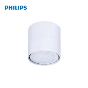 PHILIPS LED DOWNLIGHT GreenSpace opbouw DN397C LED12 830/840/865