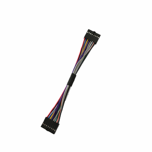 Jst <span class=keywords><strong>2</strong></span>,54, dupont, <span class=keywords><strong>2</strong></span>, <span class=keywords><strong>3</strong></span>, 4, 5, solo doble fila hombre mujer arnés de alambre - Product Image 4