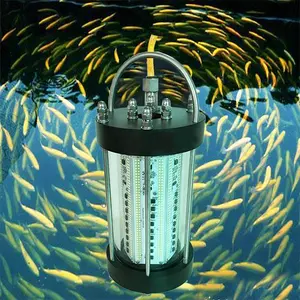 Wholesale 1000w underwater fishing lamp for A Different Fishing