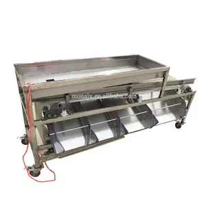 Palm Date Fruit Sorting Brushing Cleaning Machines Dates Processing Line Dates Grading Machine price for Sale