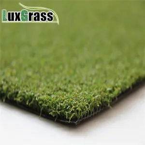 קריקט דשא דשא מלאכותי שטיח מחצלת סרי לנקה