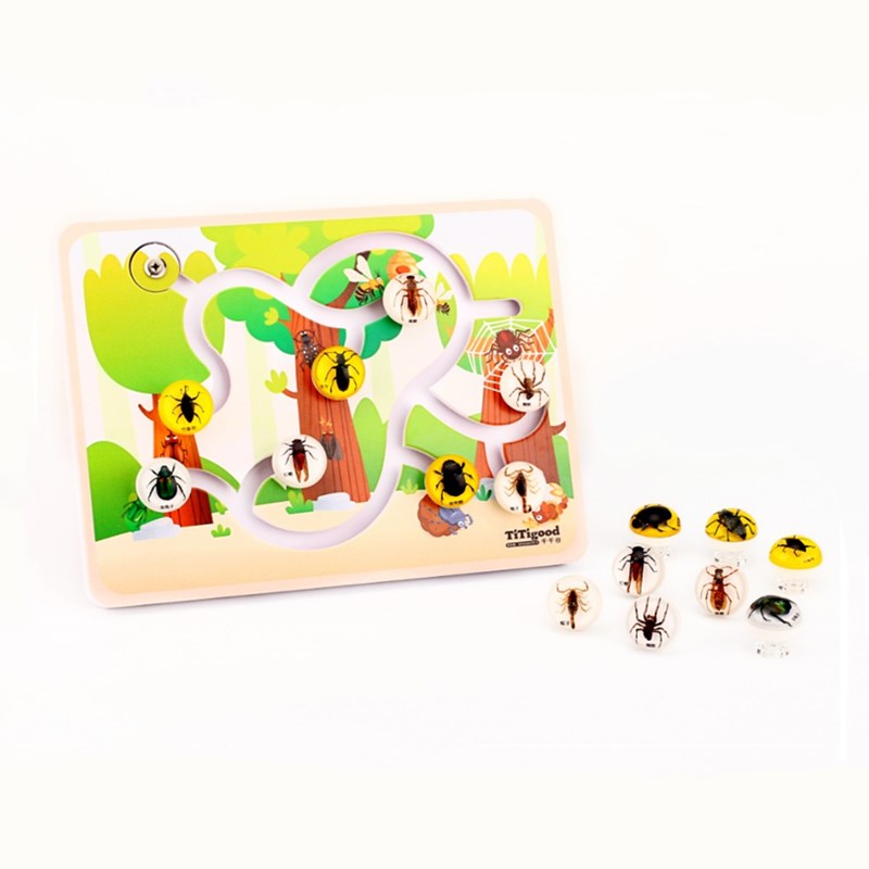 Insect Resin Specimens Board Biology Board for Playing on The Table