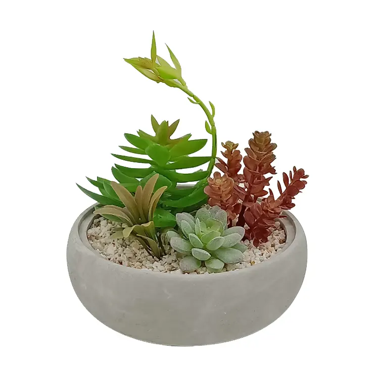 wholesale artificial ornamental plants outdoor succulent plants in cement pot