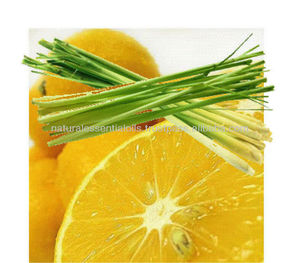 Huile essentielle de citronnelle naturelle 100% pure biologique en vrac de qualité supérieure pour la fabrication de bougies cosmétiques aromathérapie vente en gros - Product Image 6