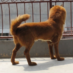 OEM mevcut yaşam boyutu gerçekçi köpek manken için satış - Product Image 6