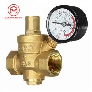 RV Water Drukregelaar Brass Verstelbare Drukregelaar Valve w Gauge 3/4"