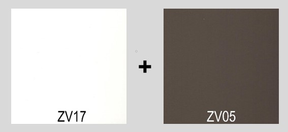ZV17 + ZV05