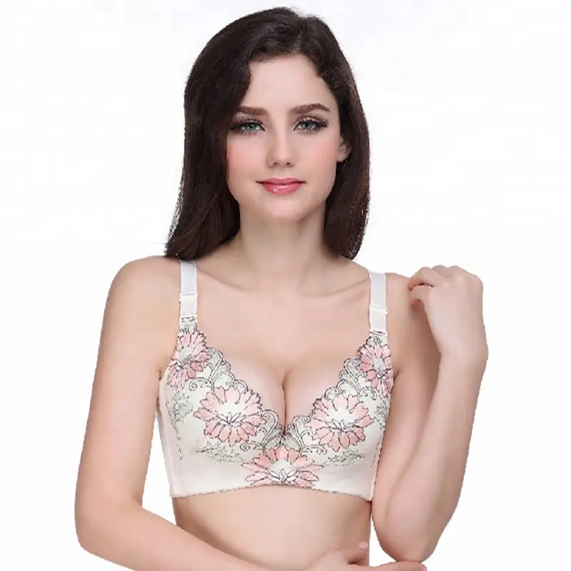 Ragazza indiana in reggiseno panty Sexy Delle Donne di Modo di Disegno Del Merletto Profondo Scollo A V Spinge Verso L'alto il Reggiseno Brassier