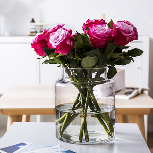 Chiaro Dell'annata <span class=keywords><strong>di</strong></span> Stile Moderno Vaso <span class=keywords><strong>di</strong></span> <span class=keywords><strong>Vetro</strong></span> del Cilindro <span class=keywords><strong>Vasi</strong></span> <span class=keywords><strong>di</strong></span> Fiori <span class=keywords><strong>per</strong></span> la Cerimonia Nuziale - Product Image 6
