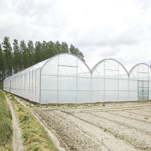 8m Prefabricated Greenhouse Tropical Greenhouse Multi Span Greenhouse