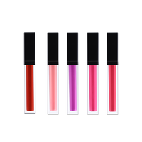 Pemasok dari Tiongkok Produsen Kosmetik Label Pribadi Vendor Lipstik Produsen Lipstik Buat Lipstik Anda Sendiri