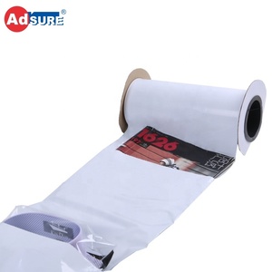 Sac en polyéthylène perforé pour ensacheuse automatique, sacs pré-ouverts sur rouleau pour pièces de monnaie - Product Image 4