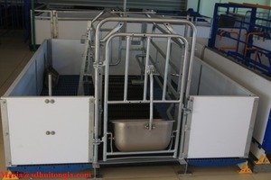 Parto <span class=keywords><strong>maiale</strong></span> cassa con PVC Plancia recinzione - Product Image 6