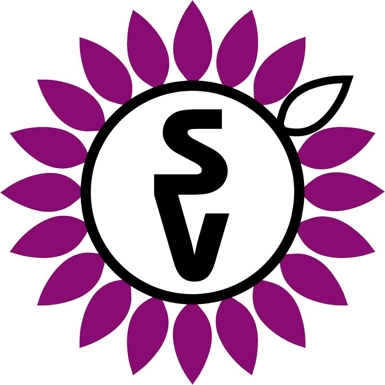 Sunview Haiyang Plastic Co., Ltd. logo