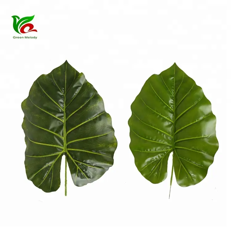 Alocasia कृत्रिम तारो पत्ते सजावटी पत्ती जंगल पत्तियां वनस्पति पत्तियों का नाम