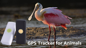 Bootoplovo TL007 — ordinateur portable, gps, avec clôture géometrique, <span class=keywords><strong>pour</strong></span> les personnes et les animaux plus petits que les feuilles - Product Image 5