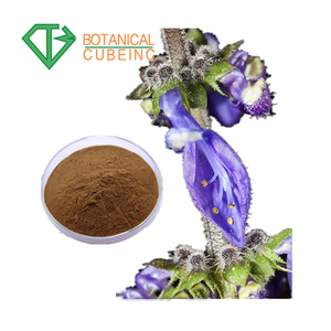 Chất lượng cao Forskolin 10% bột trong <span class=keywords><strong>Coleus</strong></span> forskohlii giá/<span class=keywords><strong>Coleus</strong></span> Forskohlii chiết xuất - Product Image 5