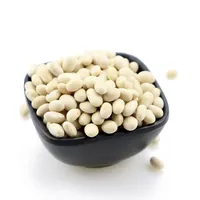 Crop Baru Kacang Putih Tipe Jepang Kacang Putih Lima