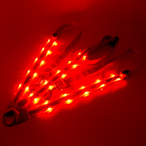 Kleurrijke Hi Zichtbaarheid Led Light Up Led Equine Borstplaat Voor Paard - Product Image 3