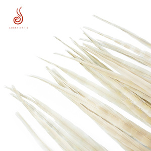 Chất lượng cao bán buôn tẩy trắng dài gà lôi lông 60-65cm cho trang trí - Product Image 3