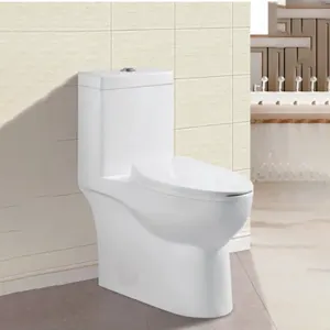 Auto-nettoyant Glaçure Siphon Rinçage Sanitaires Une Pièce Toilette Traditionnelle