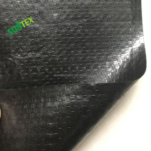 Bâche en plastique pour pisciculture offshore, géomembrane, bâche <span class=keywords><strong>de</strong></span> réservoir <span class=keywords><strong>de</strong></span> pisciculture bon marché, membrane <span class=keywords><strong>de</strong></span> couverture <span class=keywords><strong>de</strong></span> sol pour pisciculture <span class=keywords><strong>de</strong></span> crevettes - Product Image 2