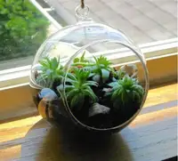 Terrarium พืชอวบน้ำ,ของขวัญตกแต่งสำนักงานสำหรับแขวน