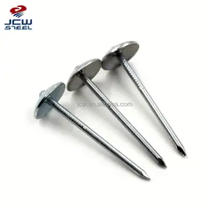 China Steel Products 2&quot; BWG12 Plain Shank Roofing Nails Nigeria Ghana