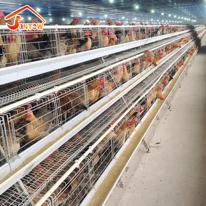 Poultry battery egg chicken layer cage cheap price from Santow factory