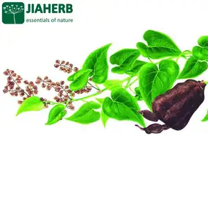 JIAHERB 18 tahun 6 pabrik menawarkan 100% ekstrak tanaman alami murni He Shou Wu ekstrak Polygonum multiflorum 10:1