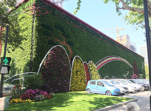 Sistemas de Paredes Verdes Exteriores, Diseño de Jardín Vertical, Macetas y Jardineras de Pared para Hacerlo Usted Mismo - Product Image 4