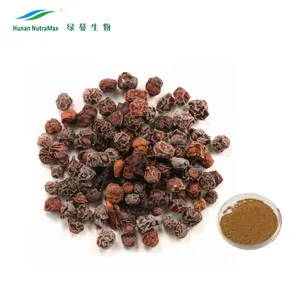 Extrait de Schisandra Chinensis d'approvisionnement d'usine, extrait de baie de Schisandra, extrait de fruit de Schisandra Schisandrins 1% 2%