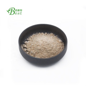 Toptan fiyat ile BSTBIO 100% saf sarımsak özü toz 1% Allicin 5:1 - Product Image 2