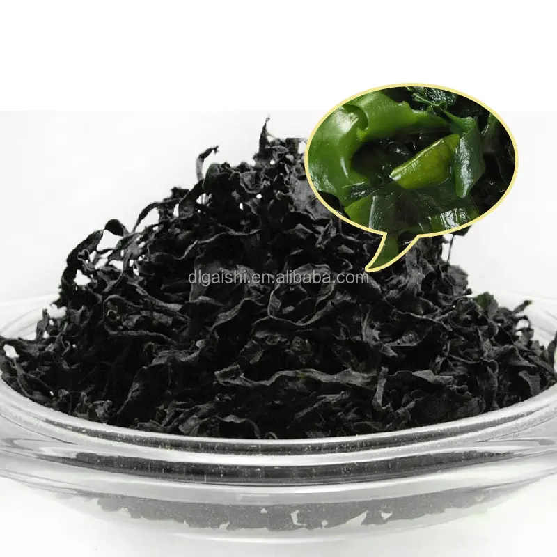 Gedroogde Cut Wakame Droge Zeewier Zeewier Drogen Voor Soep Salades