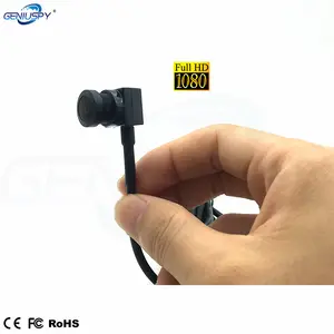 Webcam professionnelle OEM, USB 2.0, Mini caméra avec objectif Fisheye de 1.7mm, 1080P, Full HD, UVC, Micro Usb