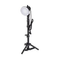 Kit d'éclairage de studio continu portable avec ampoules 65W 5500K