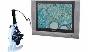 CE & RoHS a prouvé la haute sensibilité du système PAL <span class=keywords><strong>microscope</strong></span> vidéo caméra industrielle analogique avec lentille de relais intégrée - Product Image 3