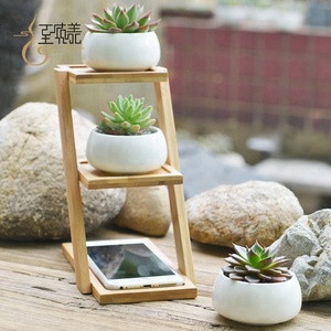 Proveedor de China flor <span class=keywords><strong>estante</strong></span> <span class=keywords><strong>para</strong></span> la siembra de plantas suculentas - Product Image 2