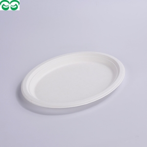 จานกระดาษเป็นมิตรต่อสิ่งแวดล้อม,กระดาษชานอ้อยแบบใช้แล้วทิ้ง10" - Product Image 4