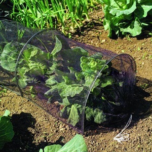 Factory Direct Sale Garden Fishnet Fabric <strong>Grow</strong> <strong>Tunnel</strong> Cover Low Hoop Netting 300x45x45cm Durable Recyclable JDM Brand for Season - Product Image 5